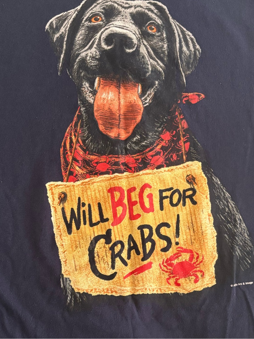 Navy Dog Graphic Tee - Will Beg for Crabs!